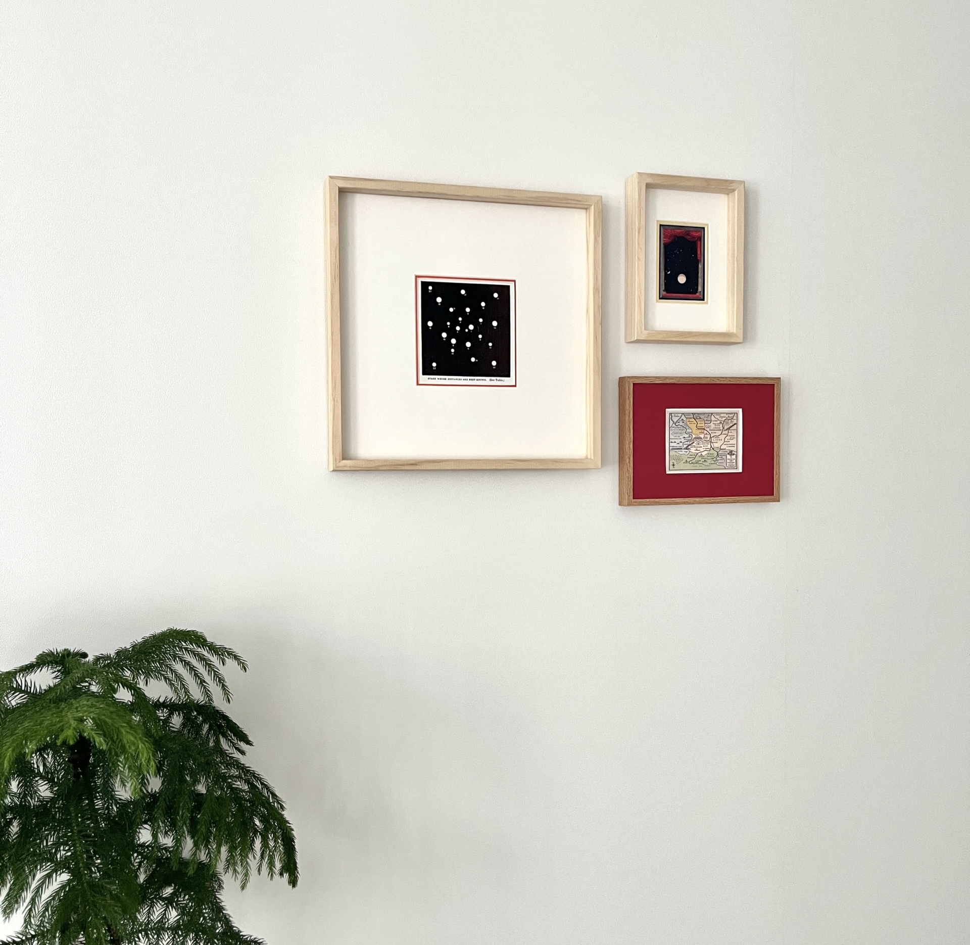 블루 플로럴 마운트 & 우드 프레임