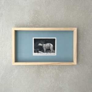 darwin’s polar bear(다윈의 북극곰)